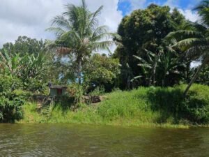 fazenda de cacau itacare