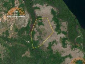 large farm in barcelos