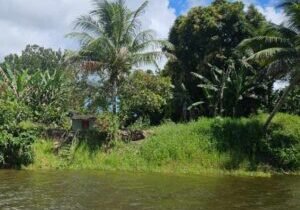 fazenda de cacau itacare